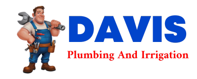 Trusted plumber in MERTENS